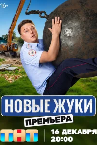 Новые жуки